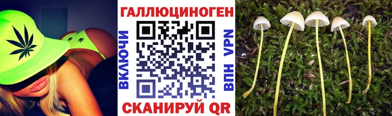 Купить закладки Трёхгорный Псилоцибиновые грибы прущие грибы